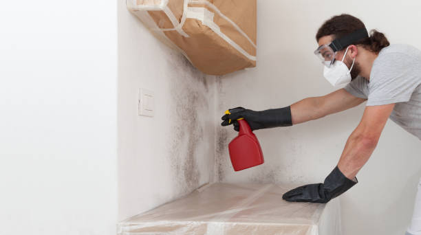 Professional Bathroom Mold Removal technician working in Winthrop, MN